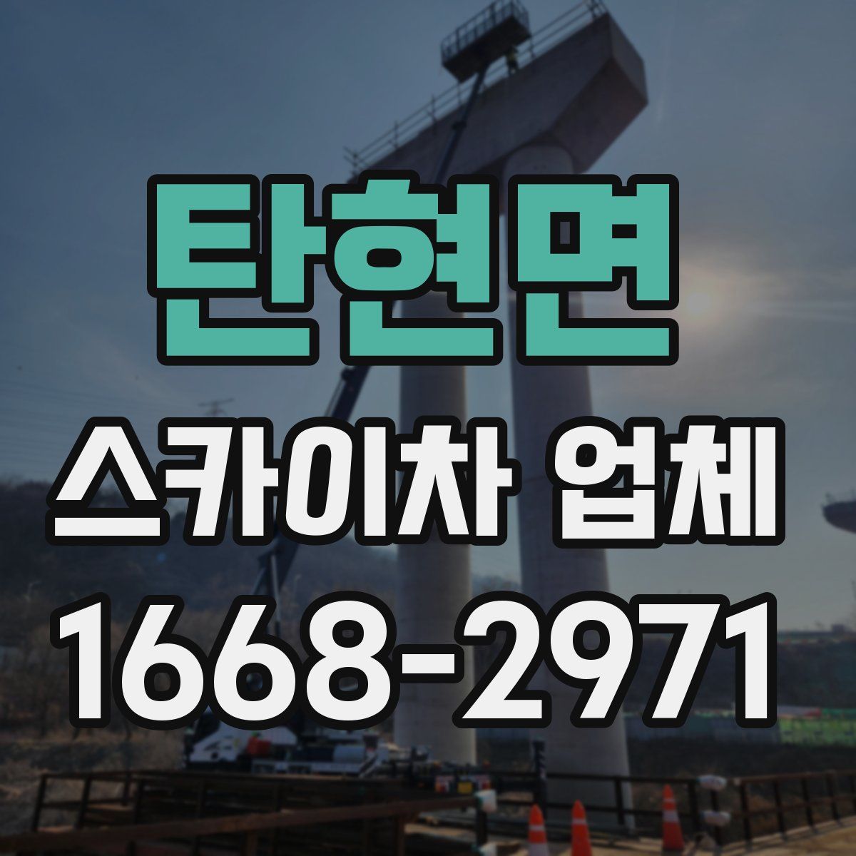 탄현면 스카이차 업체