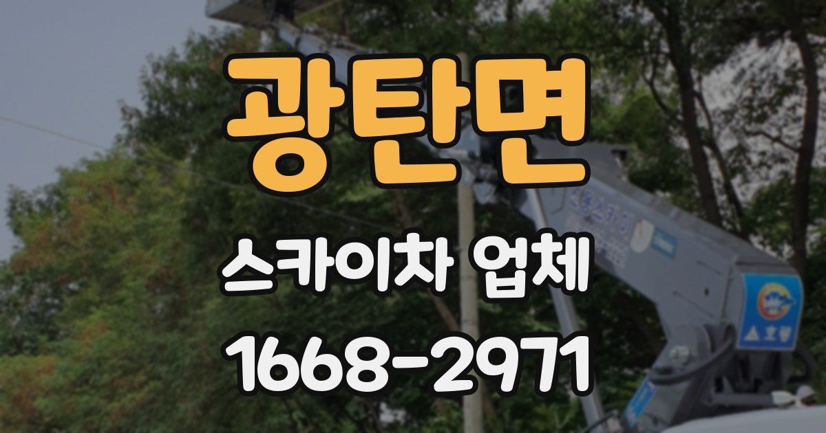 광탄면 스카이차 업체