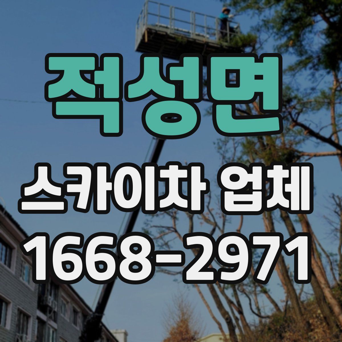 적성면 스카이차 업체
