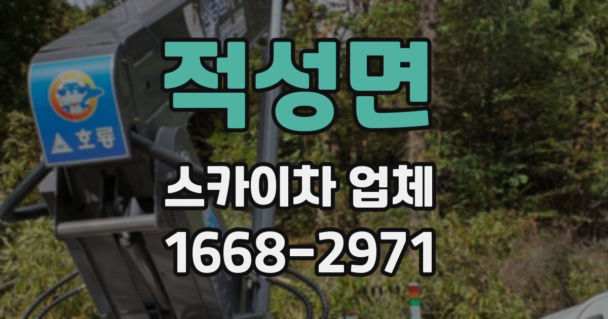 적성면 스카이차 업체