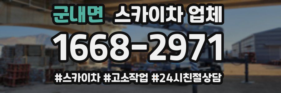 군내면 스카이차 업체