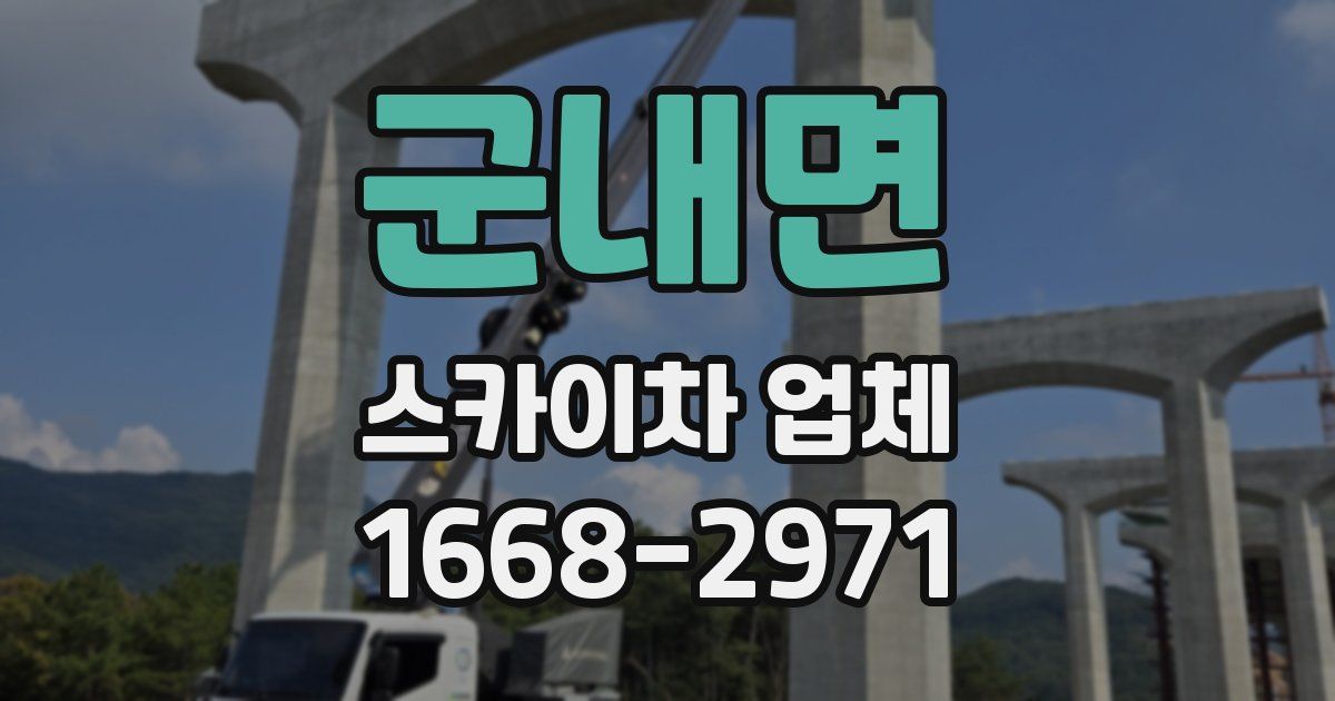군내면 스카이차 업체