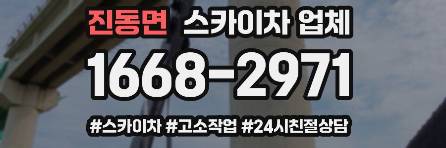 진동면 스카이차 업체