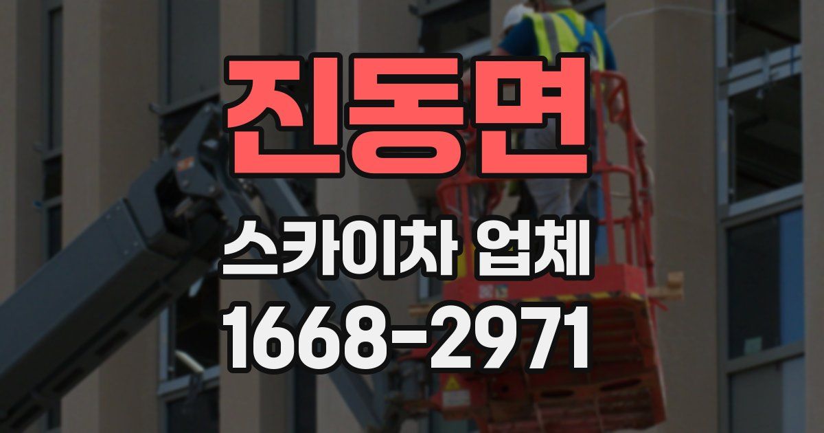 진동면 스카이차 업체