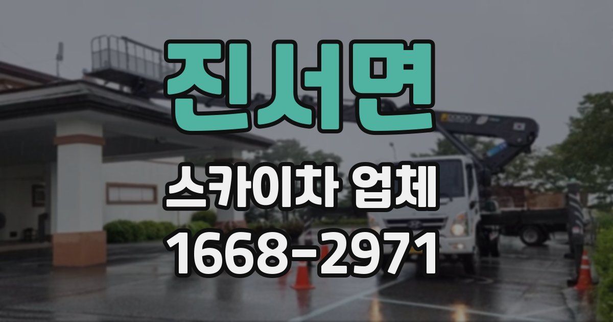 진서면 스카이차 업체