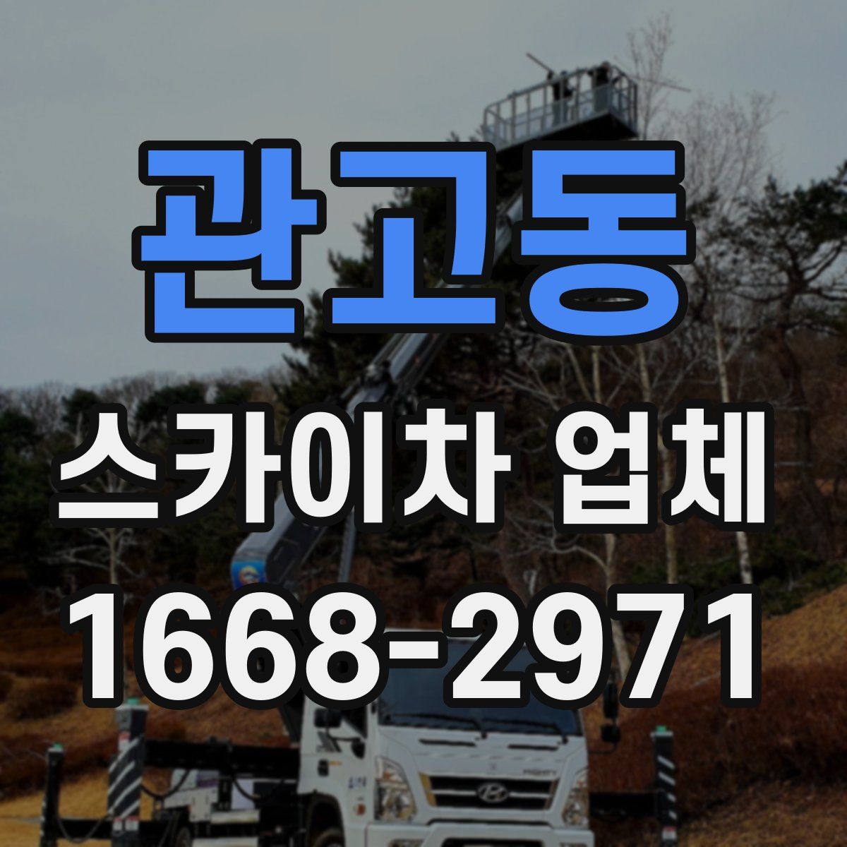 관고동 스카이차 업체