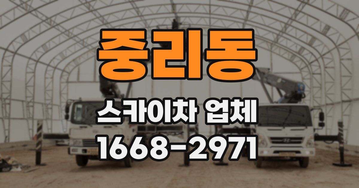 중리동 스카이차 업체