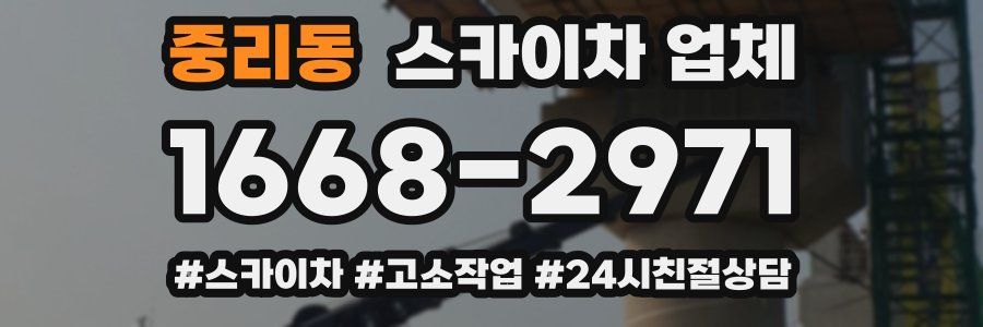 중리동 스카이차 업체