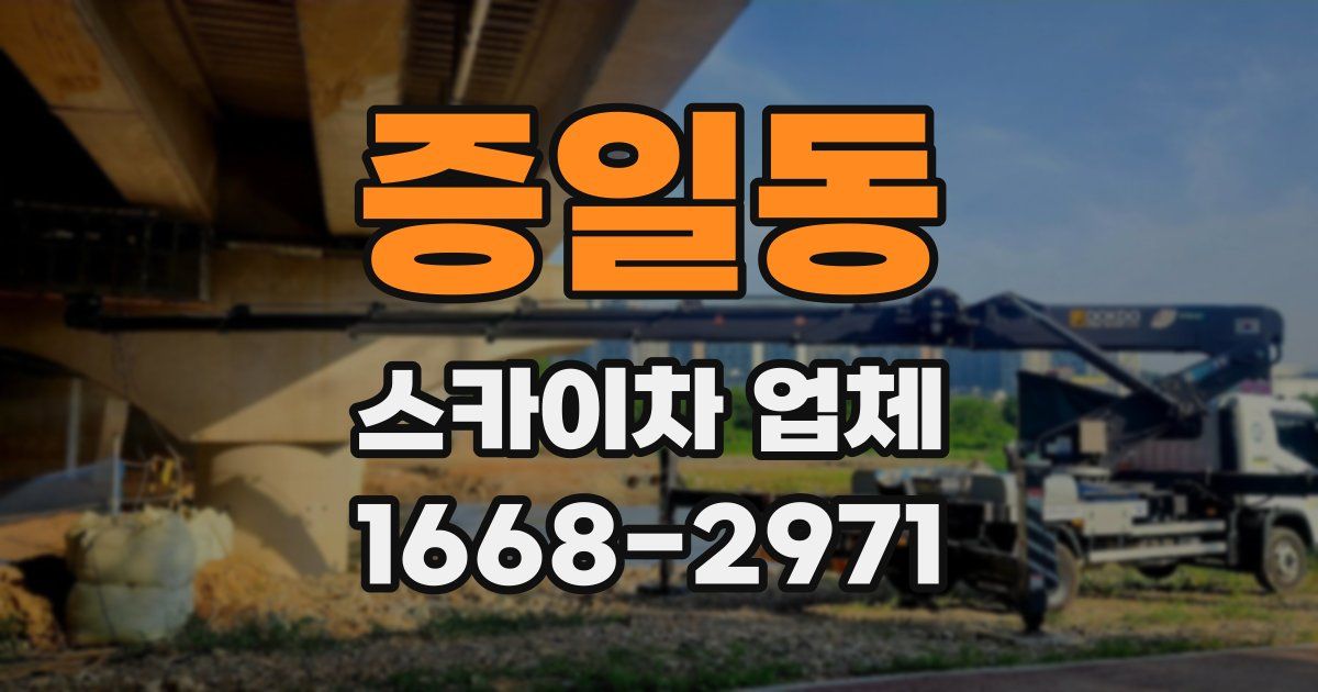 증일동 스카이차 업체