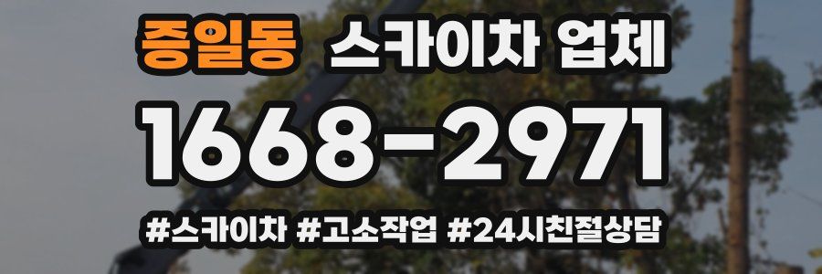 증일동 스카이차 업체