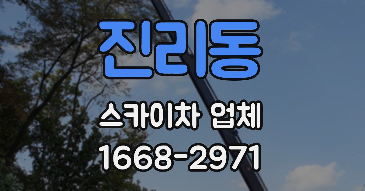 진리동 스카이차 업체