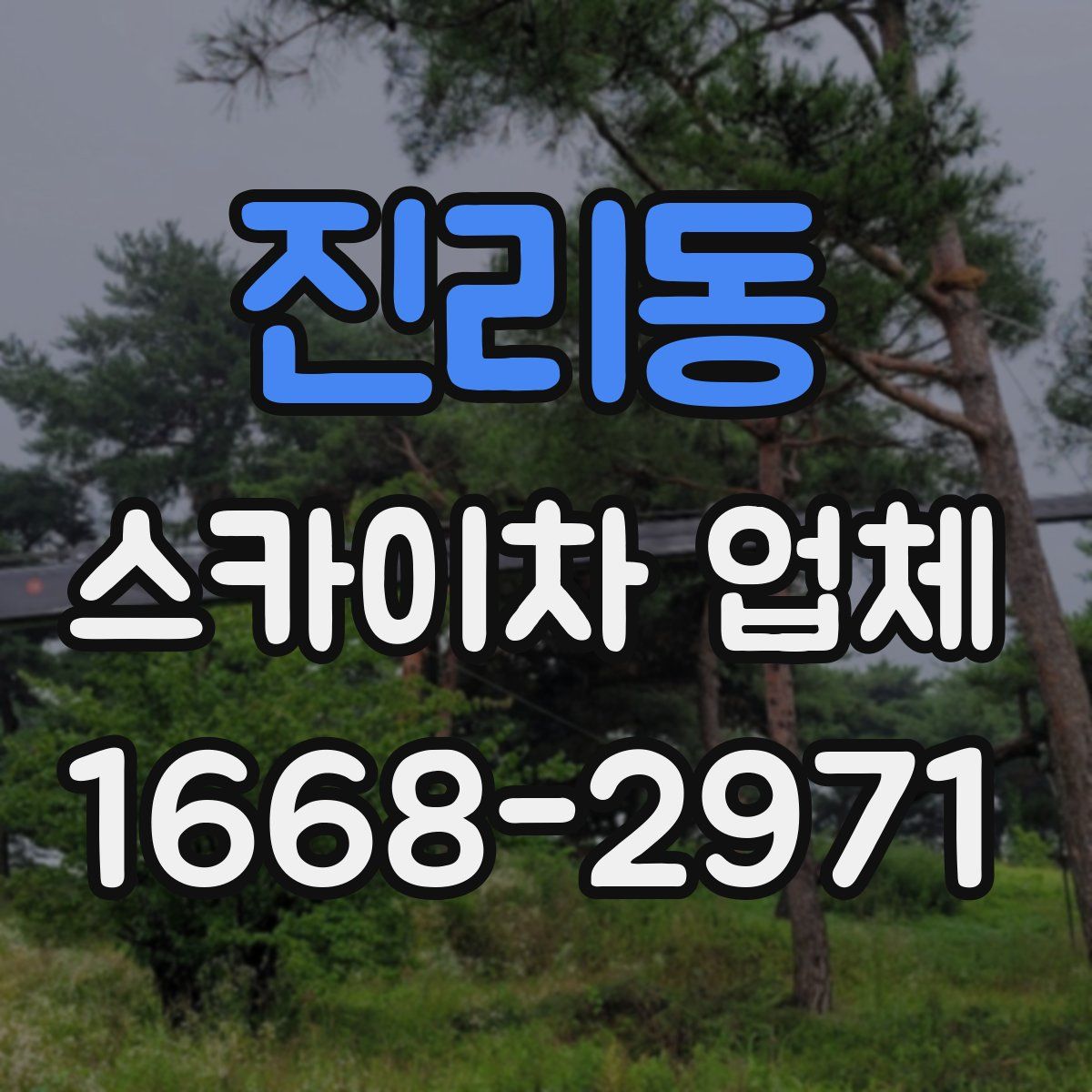 진리동 스카이차 업체