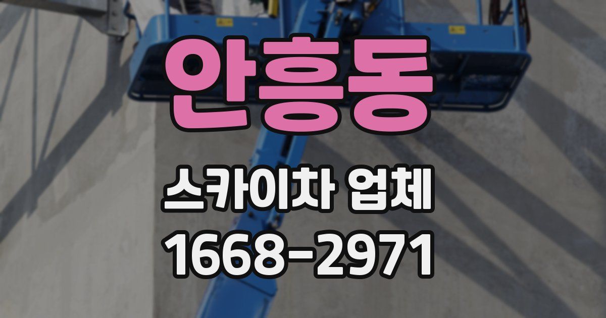 안흥동 스카이차 업체