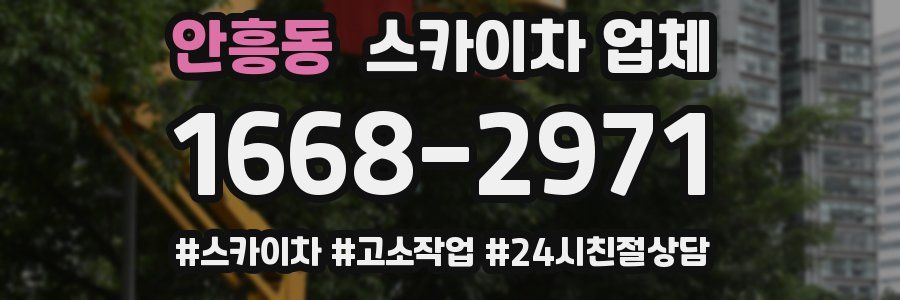 안흥동 스카이차 업체