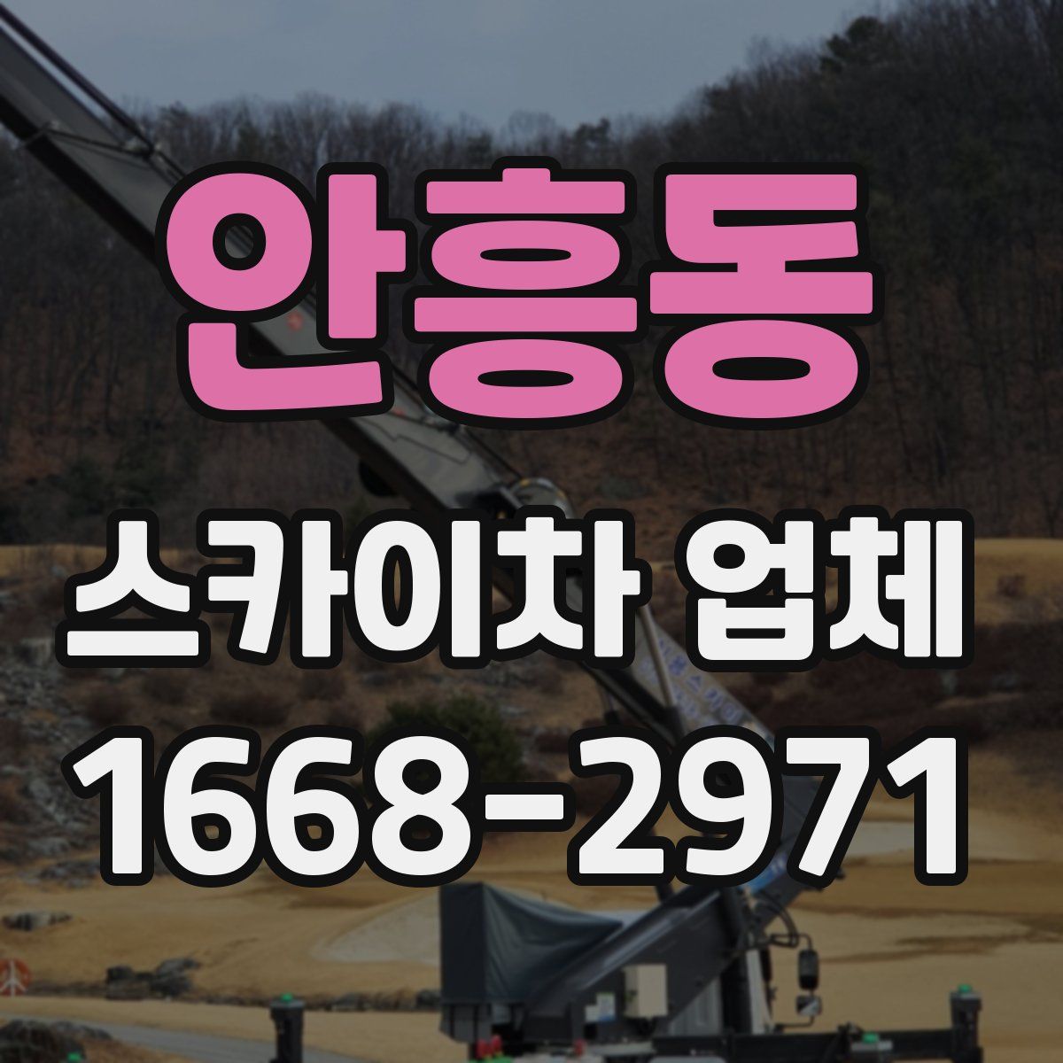 안흥동 스카이차 업체