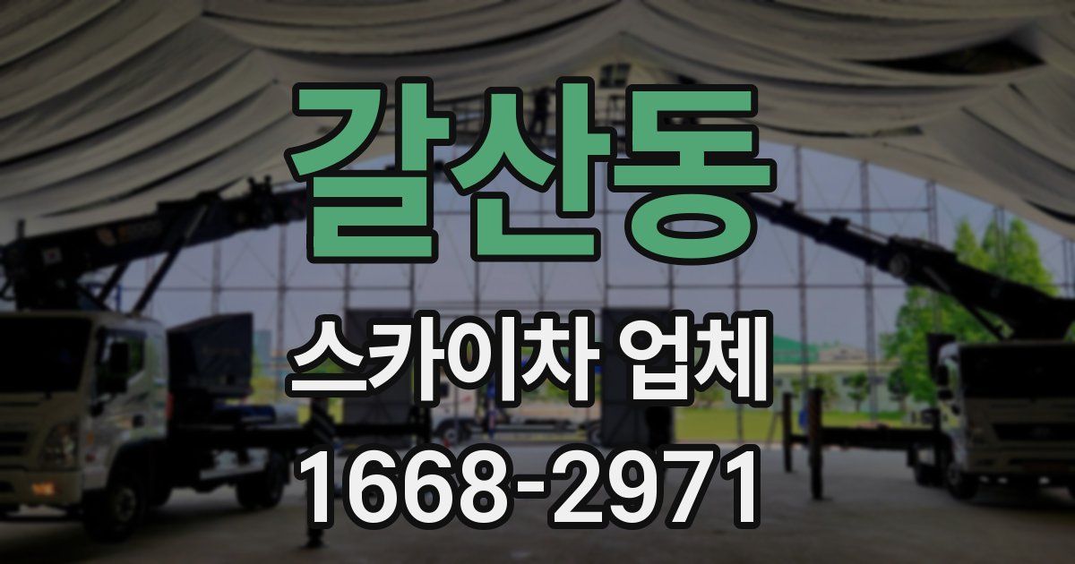 갈산동 스카이차 업체