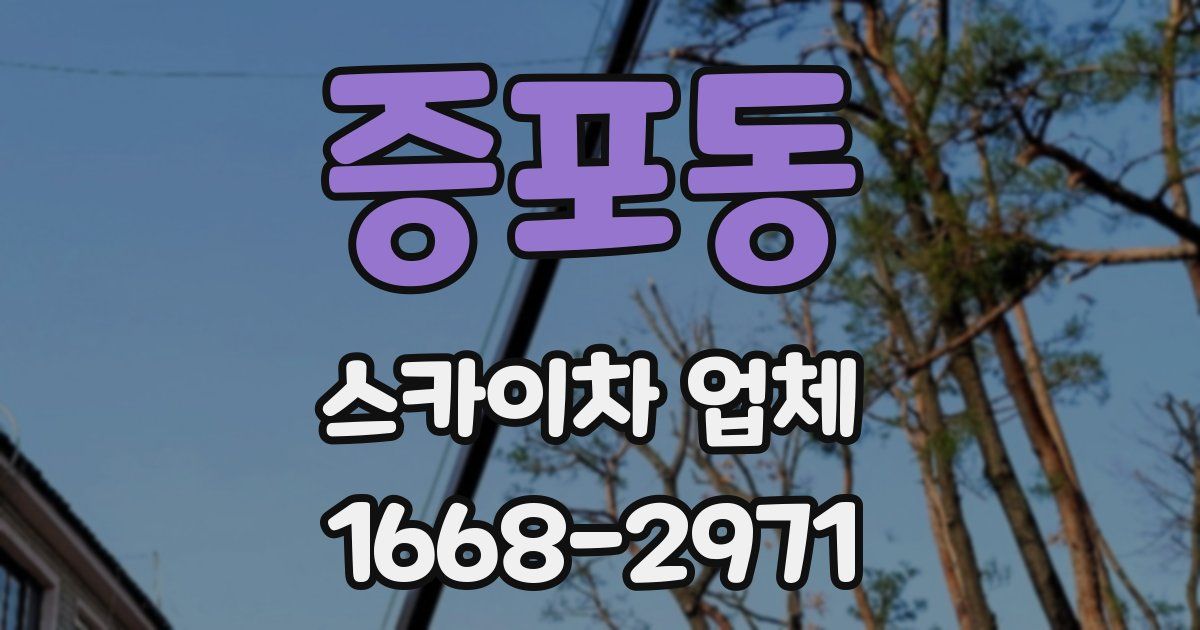 증포동 스카이차 업체