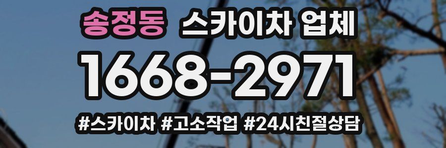 송정동 스카이차 업체