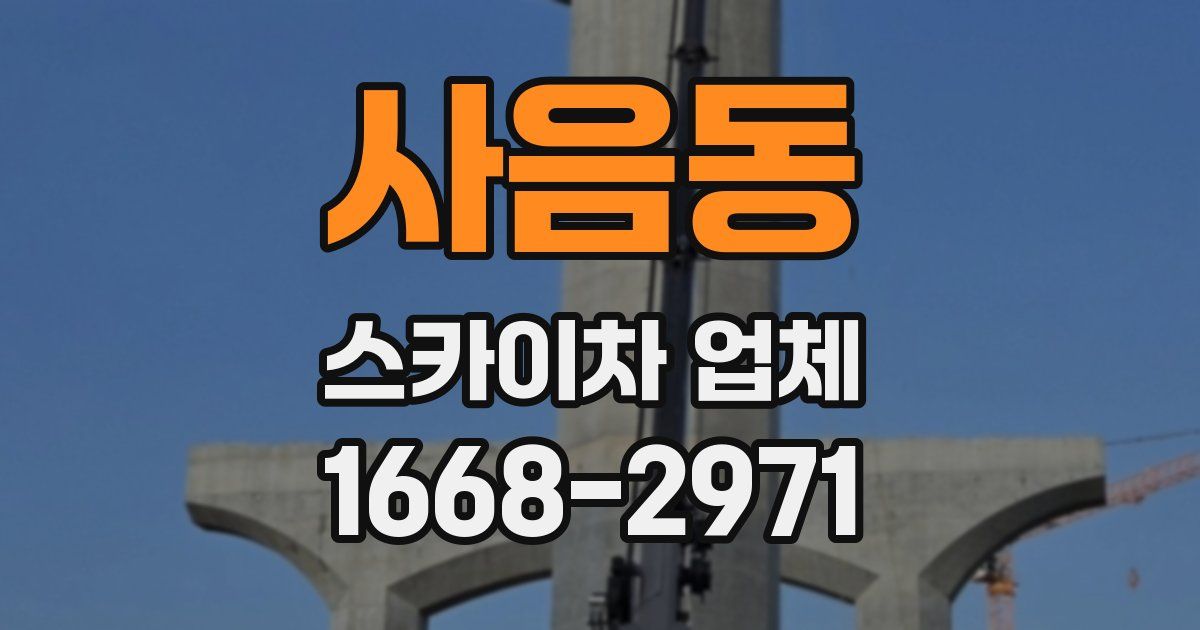 사음동 스카이차 업체