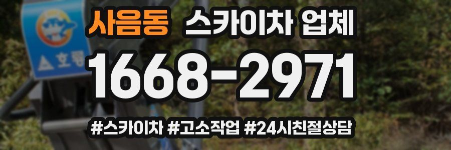 사음동 스카이차 업체