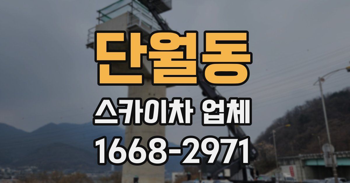 단월동 스카이차 업체