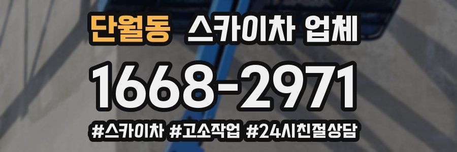 단월동 스카이차 업체