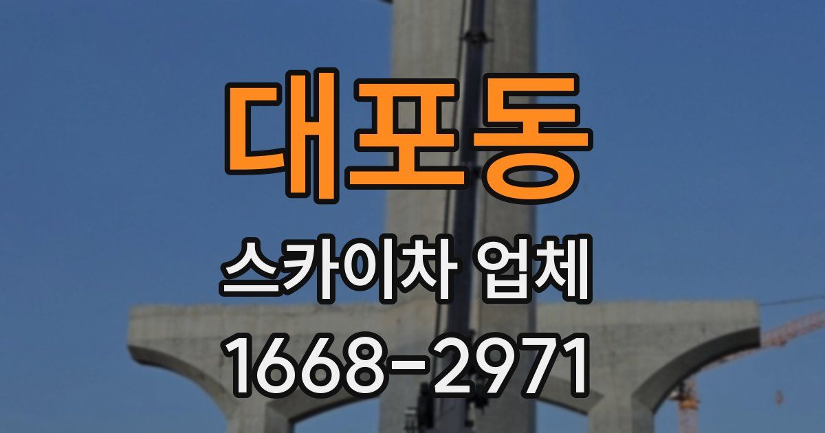 대포동 스카이차 업체