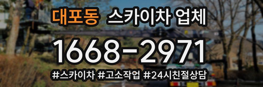 대포동 스카이차 업체