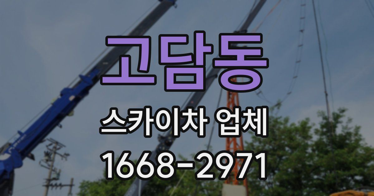 고담동 스카이차 업체