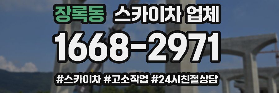 장록동 스카이차 업체