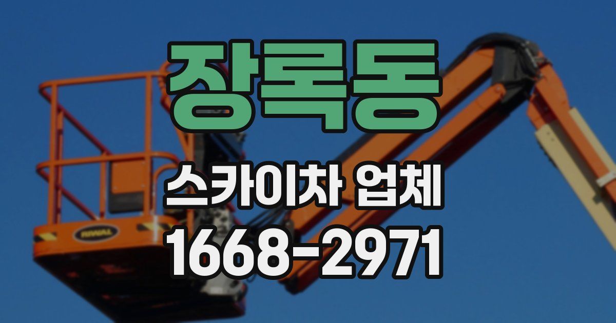 장록동 스카이차 업체