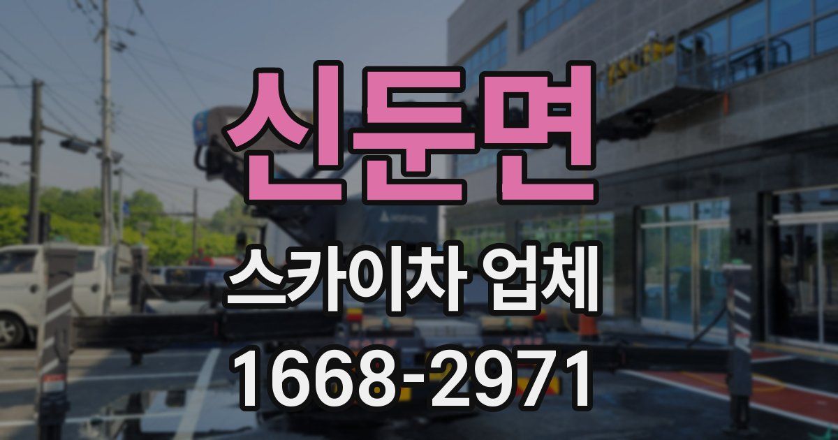 신둔면 스카이차 업체