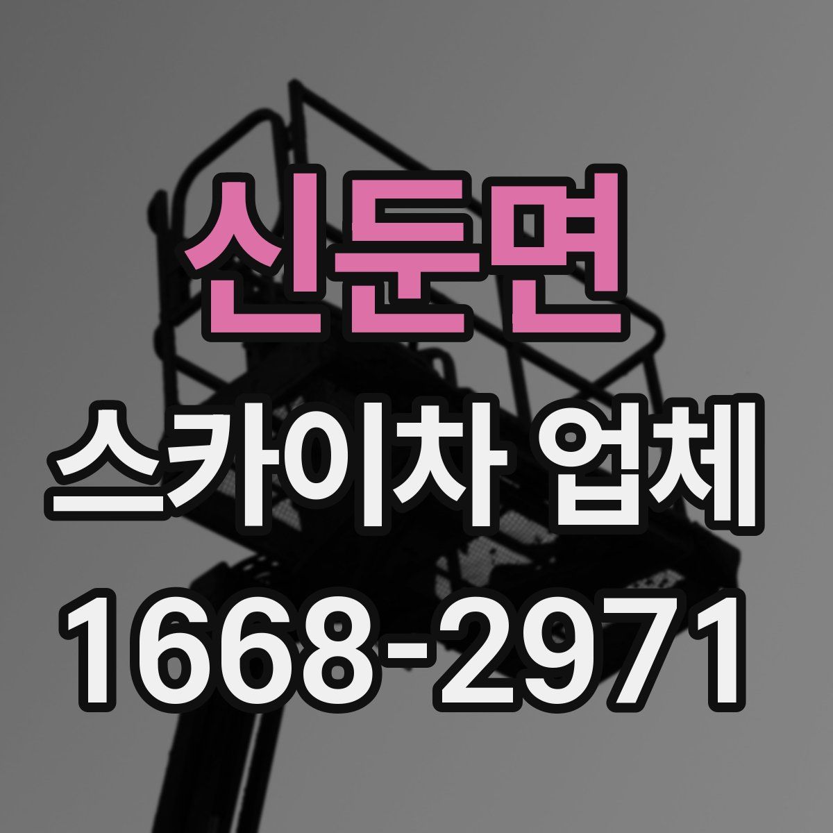 신둔면 스카이차 업체