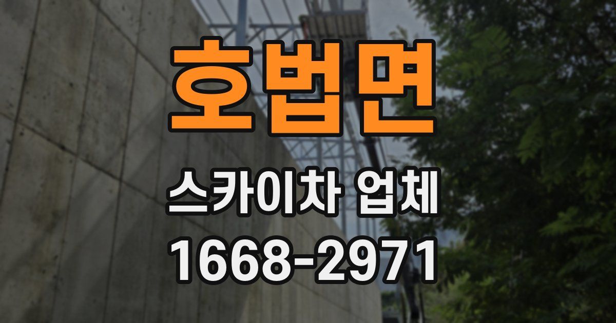 호법면 스카이차 업체