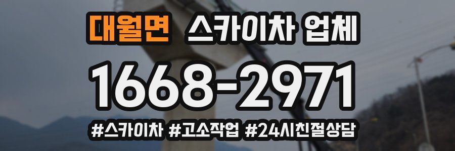 대월면 스카이차 업체
