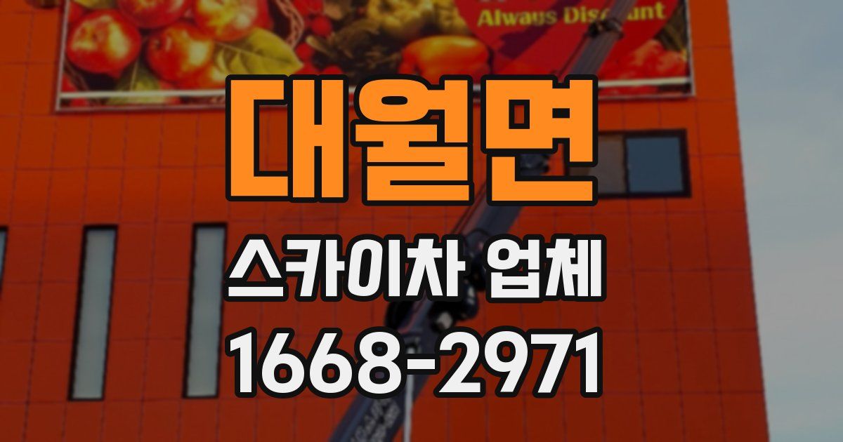 대월면 스카이차 업체