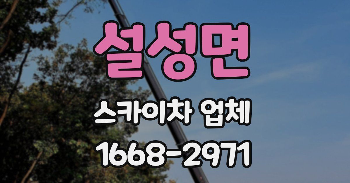 설성면 스카이차 업체