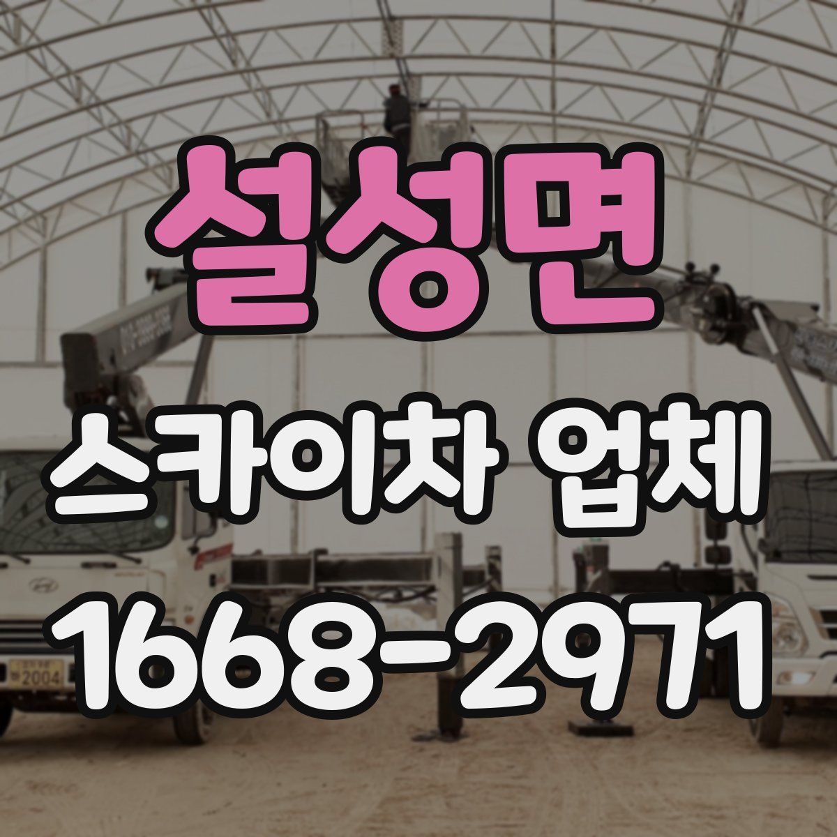 설성면 스카이차 업체