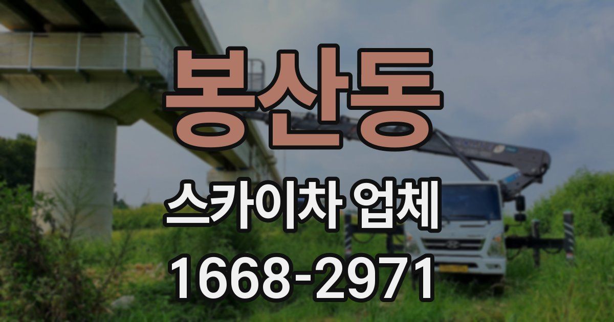 봉산동 스카이차 업체