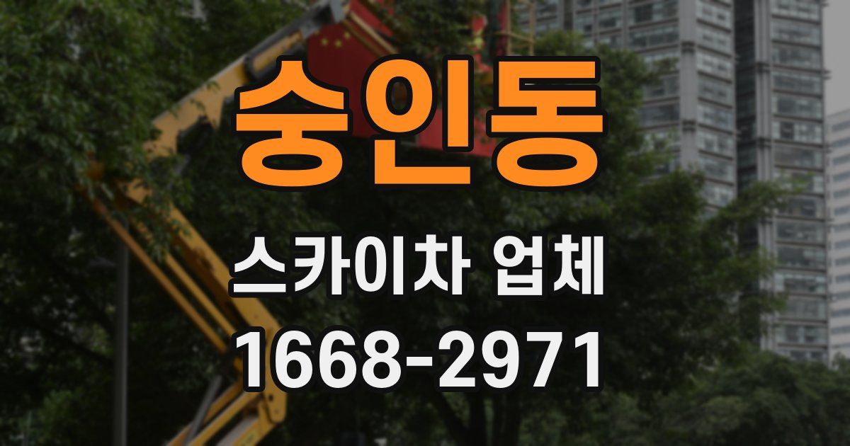숭인동 스카이차 업체