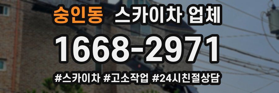 숭인동 스카이차 업체