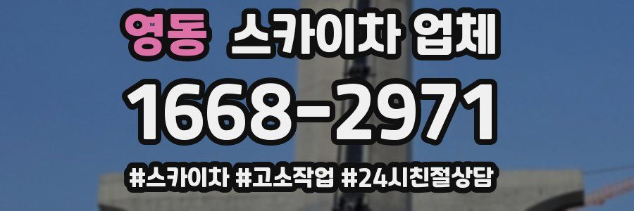 영동 스카이차 업체
