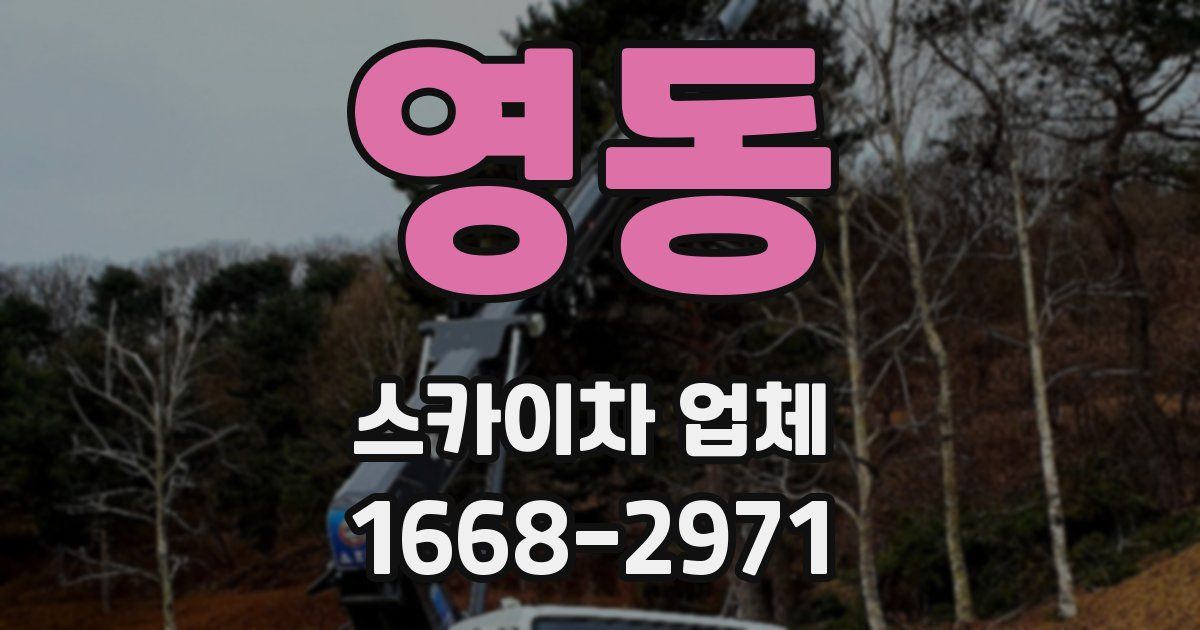 영동 스카이차 업체