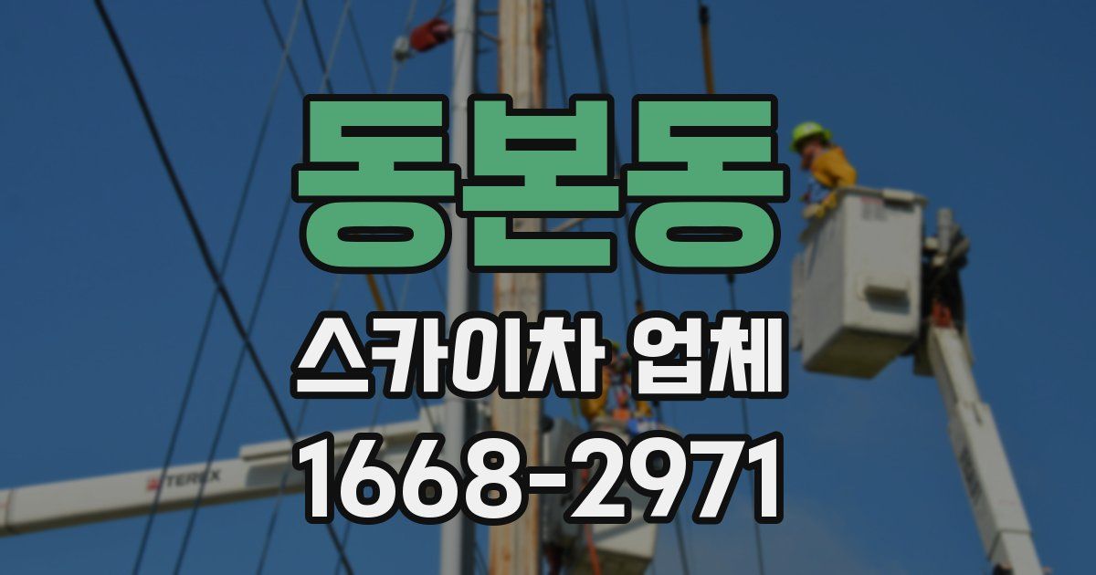 동본동 스카이차 업체