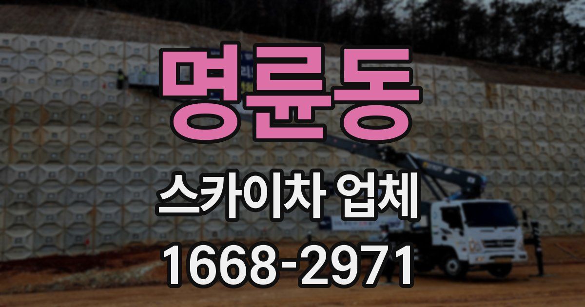 명륜동 스카이차 업체