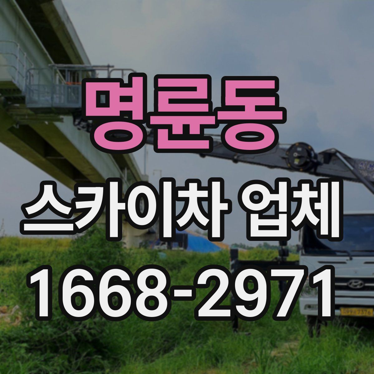명륜동 스카이차 업체