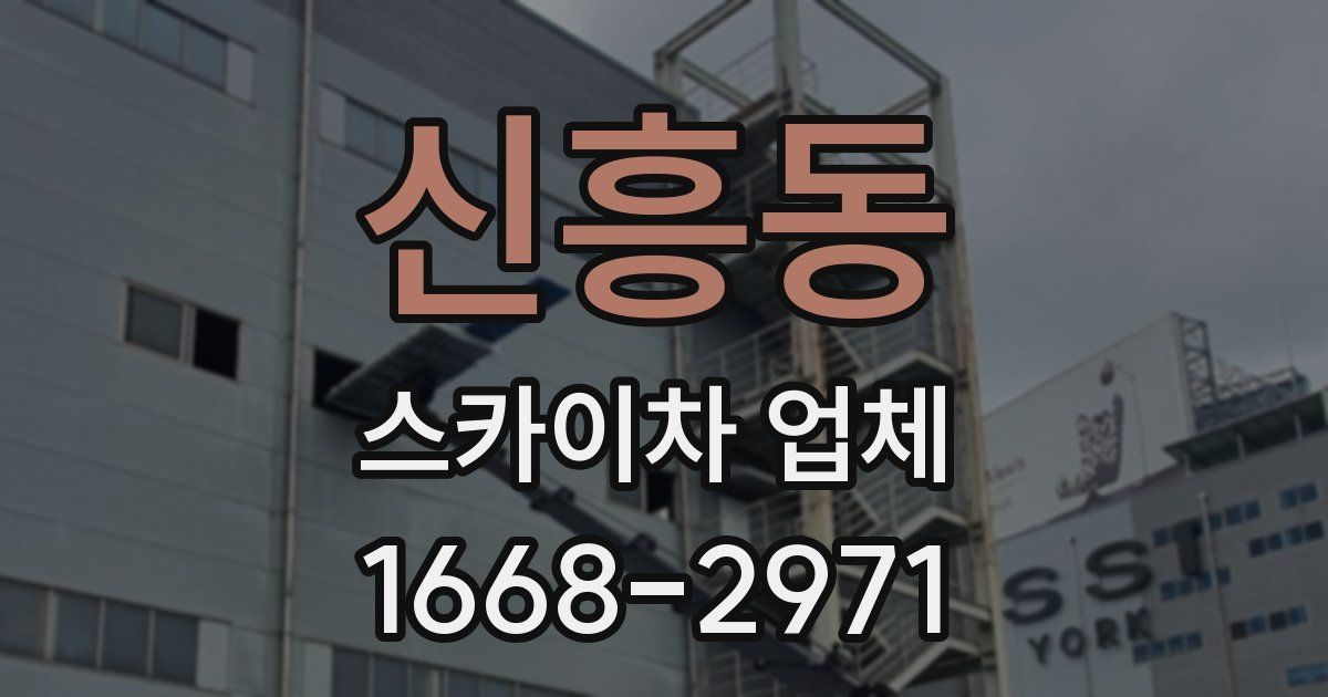 신흥동 스카이차 업체