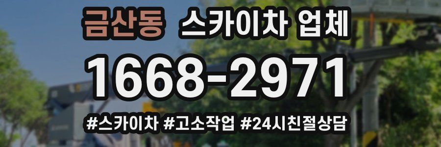금산동 스카이차 업체