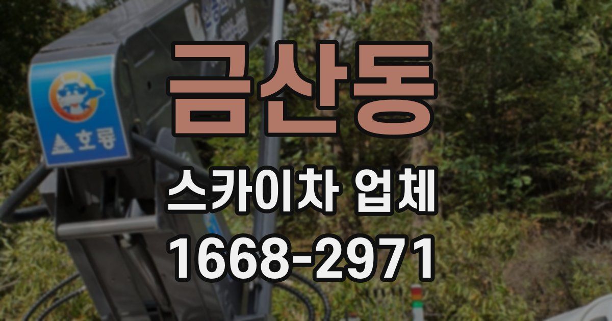 금산동 스카이차 업체