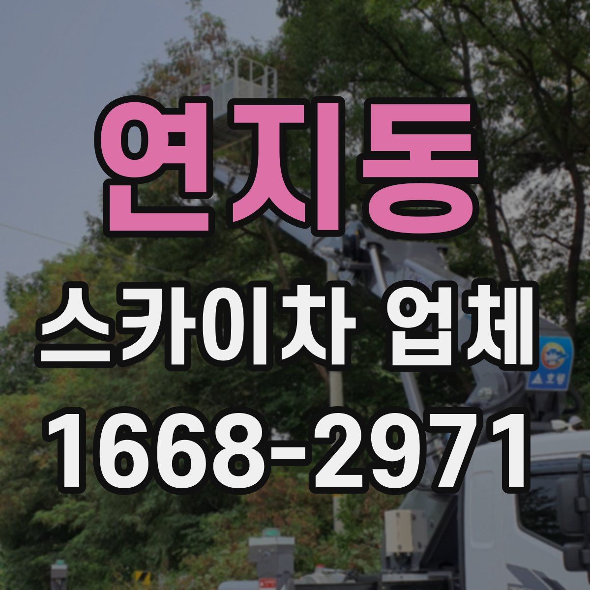 연지동 스카이차 업체